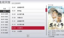 东方电视回放在线观看,重温经典，畅享视听盛宴