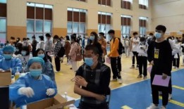 开封小学生最新爆料消息,校园新鲜事大盘点